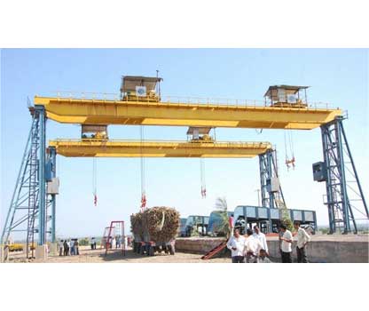 Cane Unloader Crane in India